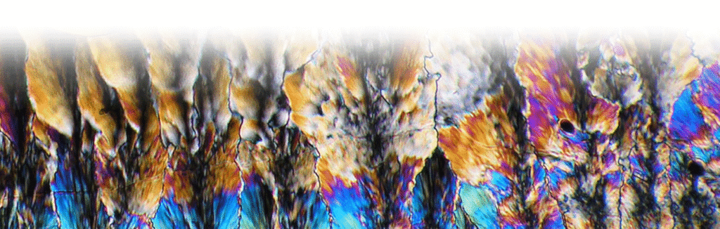 Color microscopic photo of biocrystals in polarized light