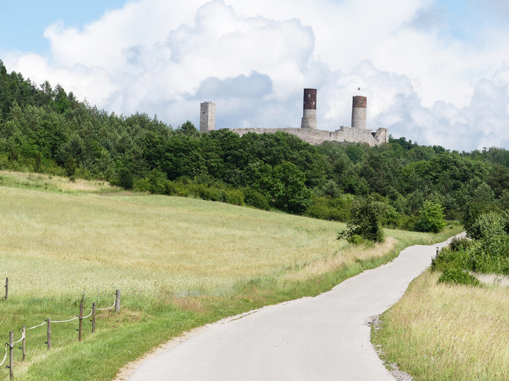 A winding path leads through grassy fields toward a distantc astle with two cylindrical towers, surrounded by dense greenery under a partly cloudy sky.